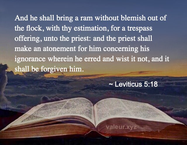Leviticus 5:18