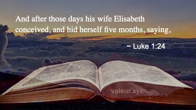 Luke 1:24
