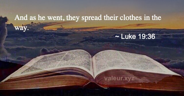 Luke 19:36