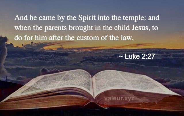 Luke 2:27