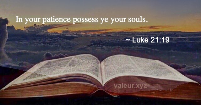 Luke 21:19