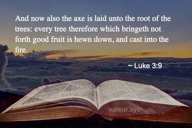 Luke 3:9