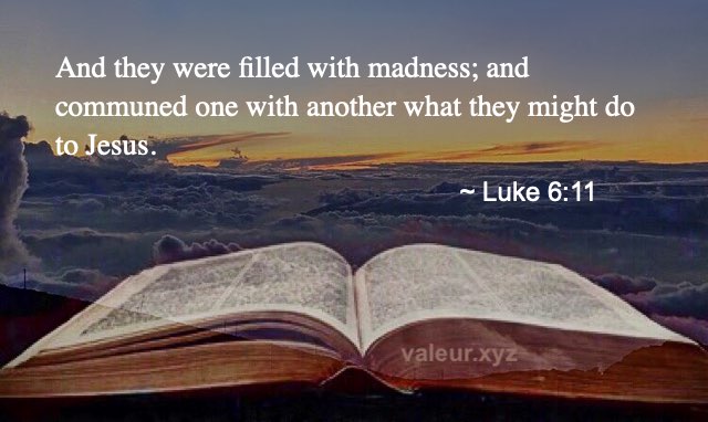 Luke 6:11
