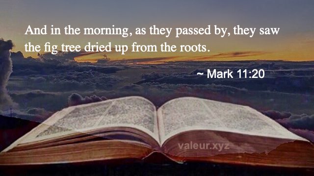 Mark 11:20