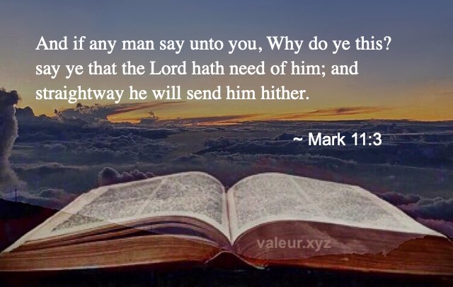 Mark 11:3