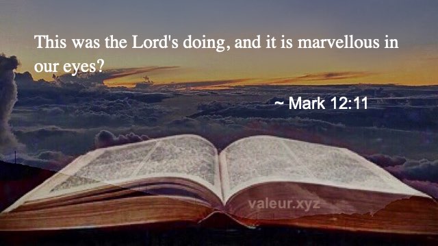 Mark 12:11