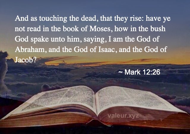 Mark 12:26