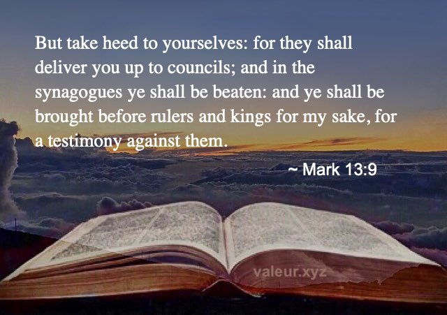 Mark 13:9
