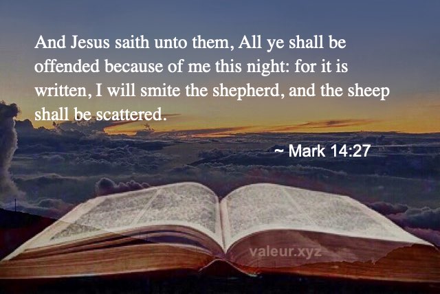 Mark 14:27