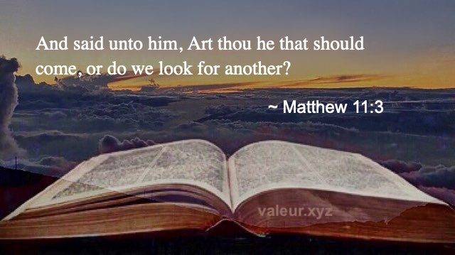 Matthew 11:3