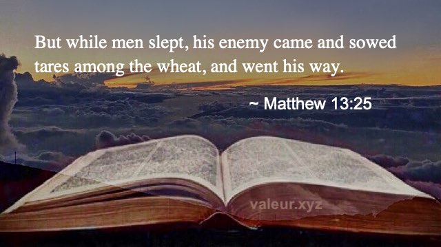 Matthew 13:25
