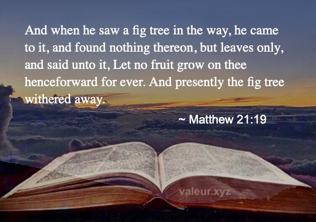 Matthew 21:19