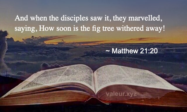 Matthew 21:20
