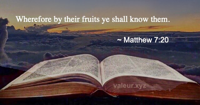 Matthew 7:20