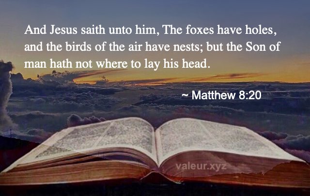 Matthew 8:20 Matthew 8:20