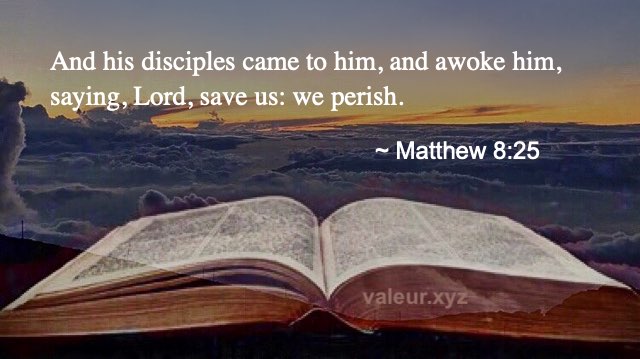Matthew 8:25