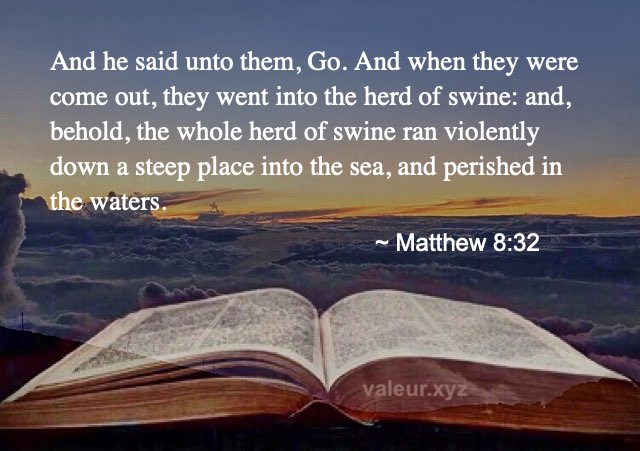 Matthew 8:32