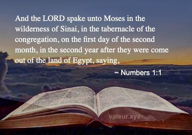 Numbers 1:1