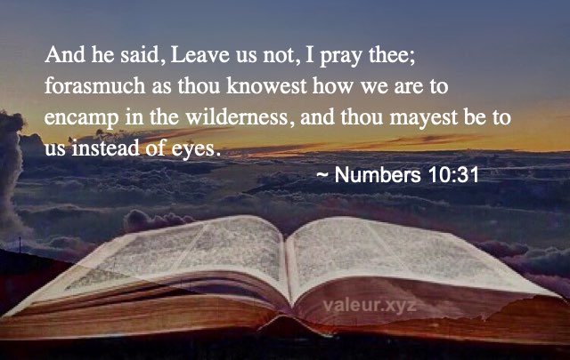 Numbers 10:31