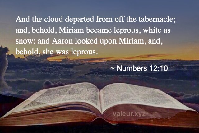 Numbers 12:10