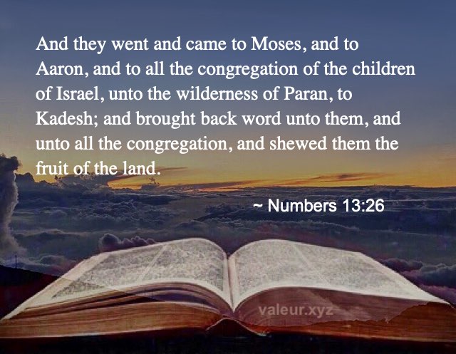 Numbers 13:26