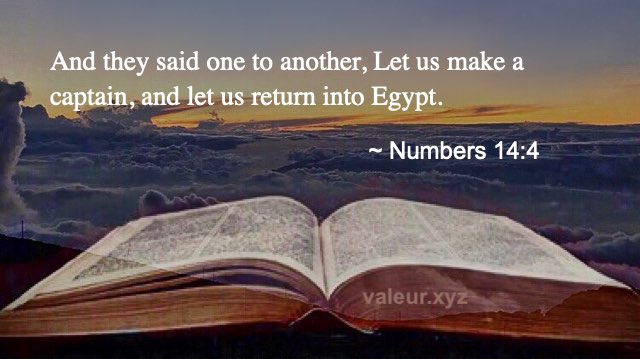 Numbers 14:4