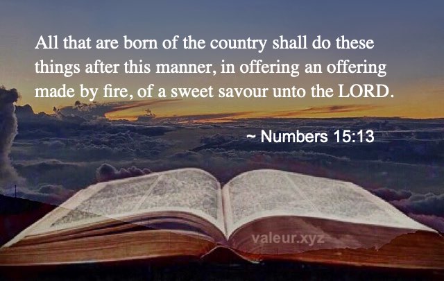 Numbers 15:13