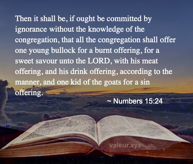 Numbers 15:24