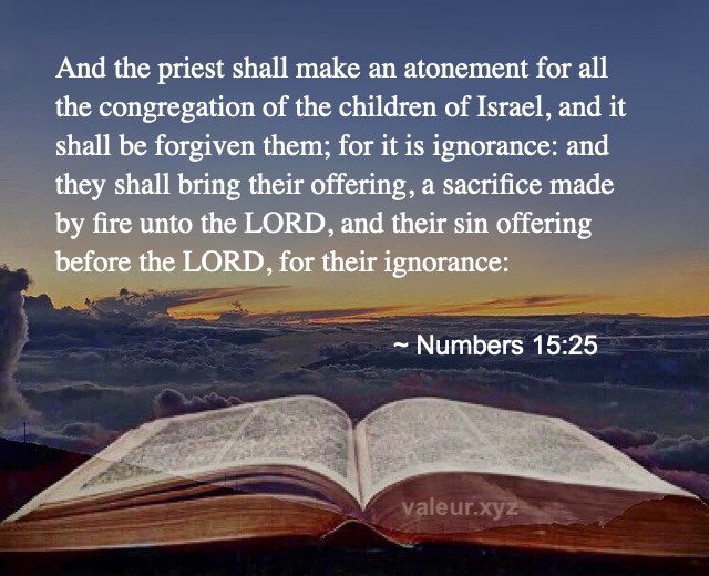 Numbers 15:25