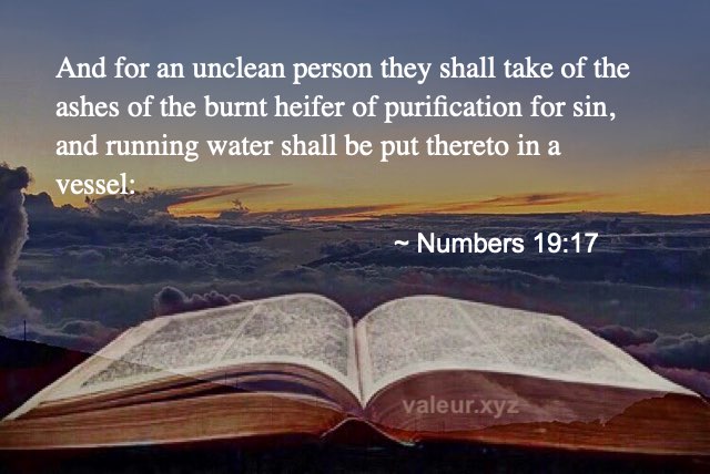 Numbers 19:17