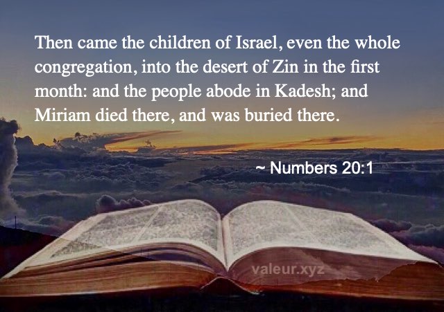 Numbers 20:1