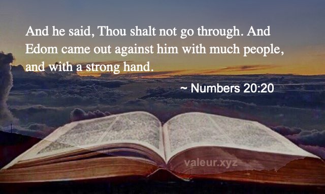 Numbers 20:20