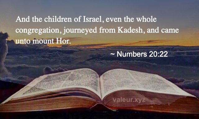 Numbers 20:22