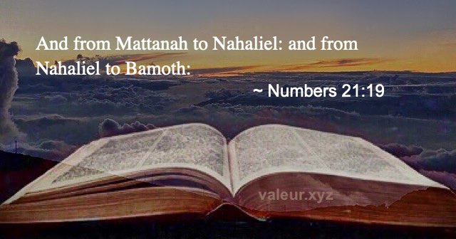 Numbers 21:19