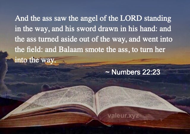 Numbers 22:23