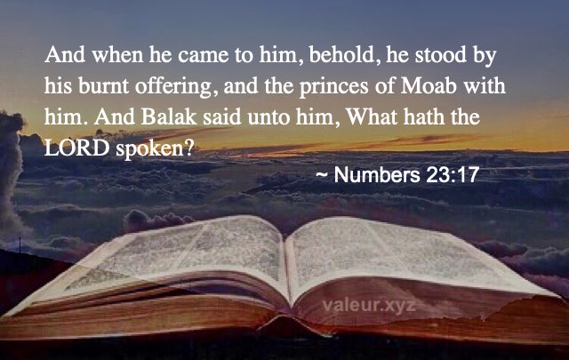 Numbers 23:17