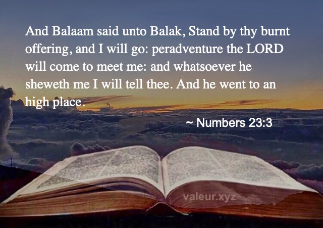 Numbers 23:3