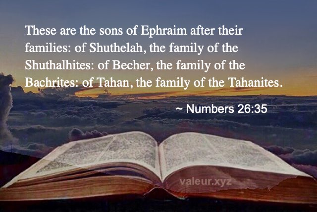 Numbers 26:35