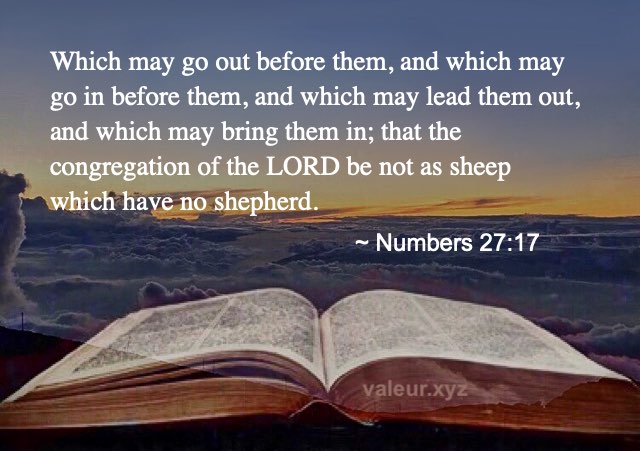Numbers 27:17