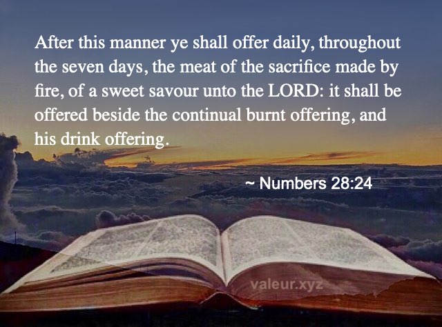 Numbers 28:24