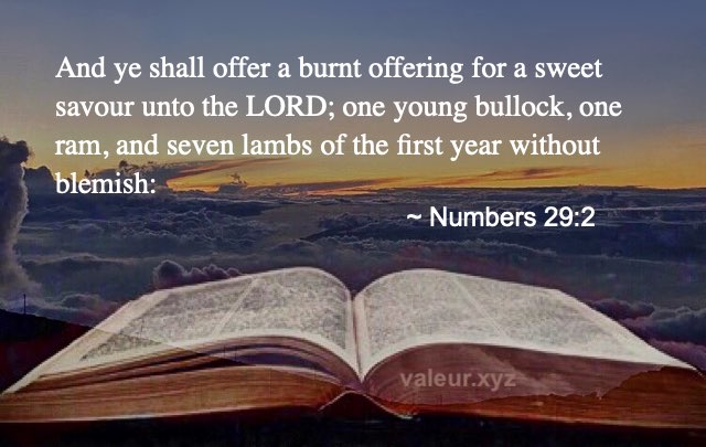 Numbers 29:2