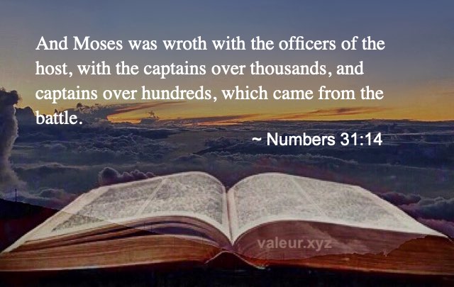 Numbers 31:14