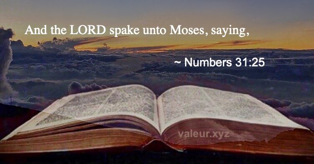 Numbers 31:25