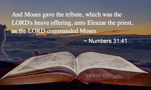 Numbers 31:41