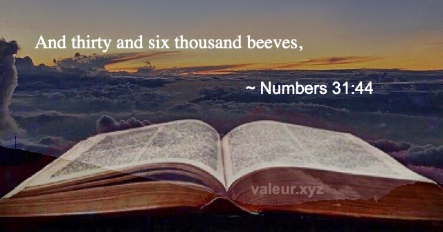 Numbers 31:44