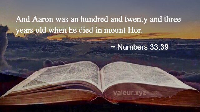 Numbers 33:39