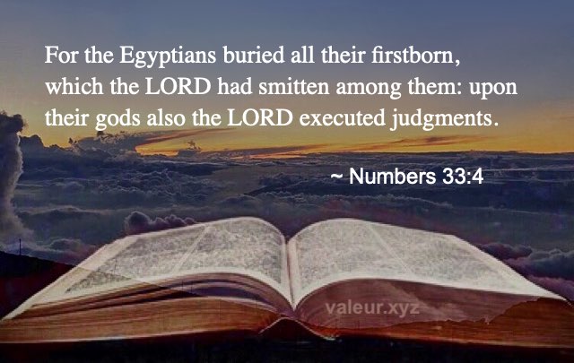 Numbers 33:4