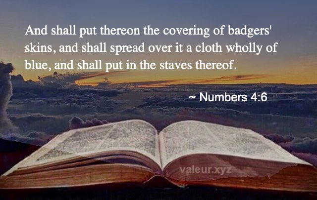 Numbers 4:6