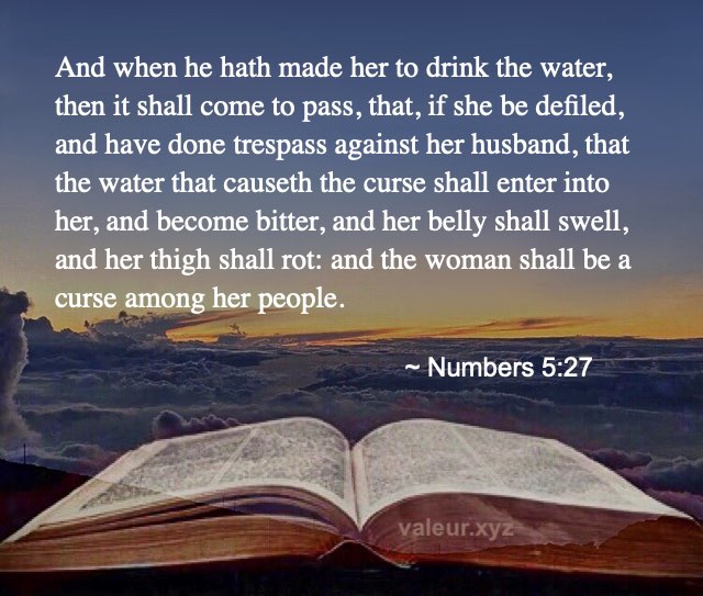 Numbers 5:27