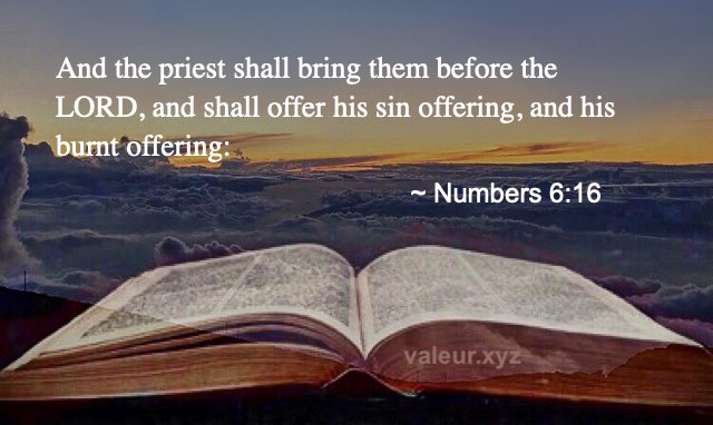 Numbers 6:16